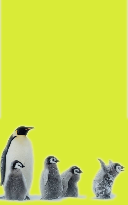 pingwins 2